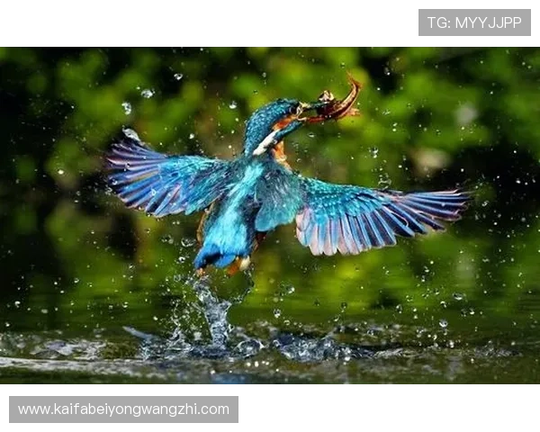 PA捕鱼网年度赛事精彩纷呈,参与比赛成为捕鱼高手的最佳平台 PA捕鱼网年度赛事精彩纷呈,参与比赛成为捕鱼高手的最佳平台