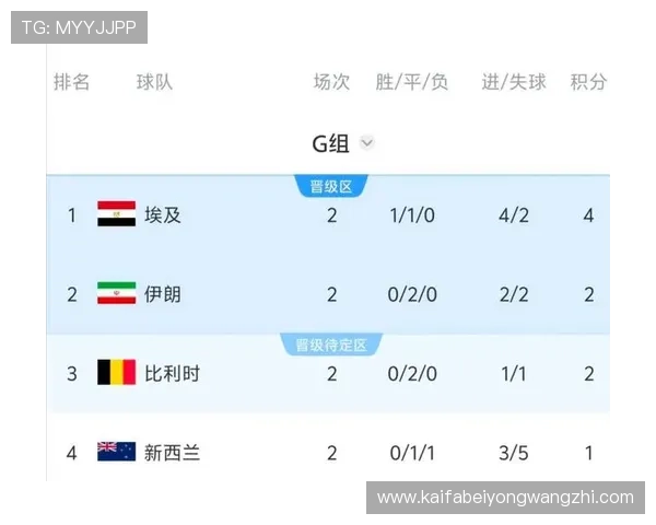 世界杯新西兰比利时比赛精彩进球视频全场回放及赛后数据分析